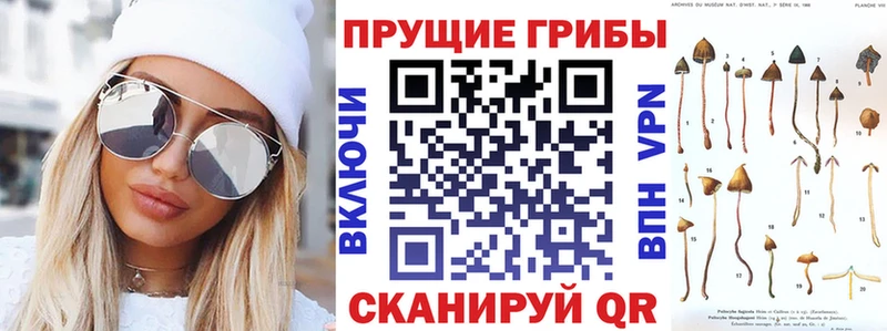 Галлюциногенные грибы мухоморы  kraken рабочий сайт  Шарья 